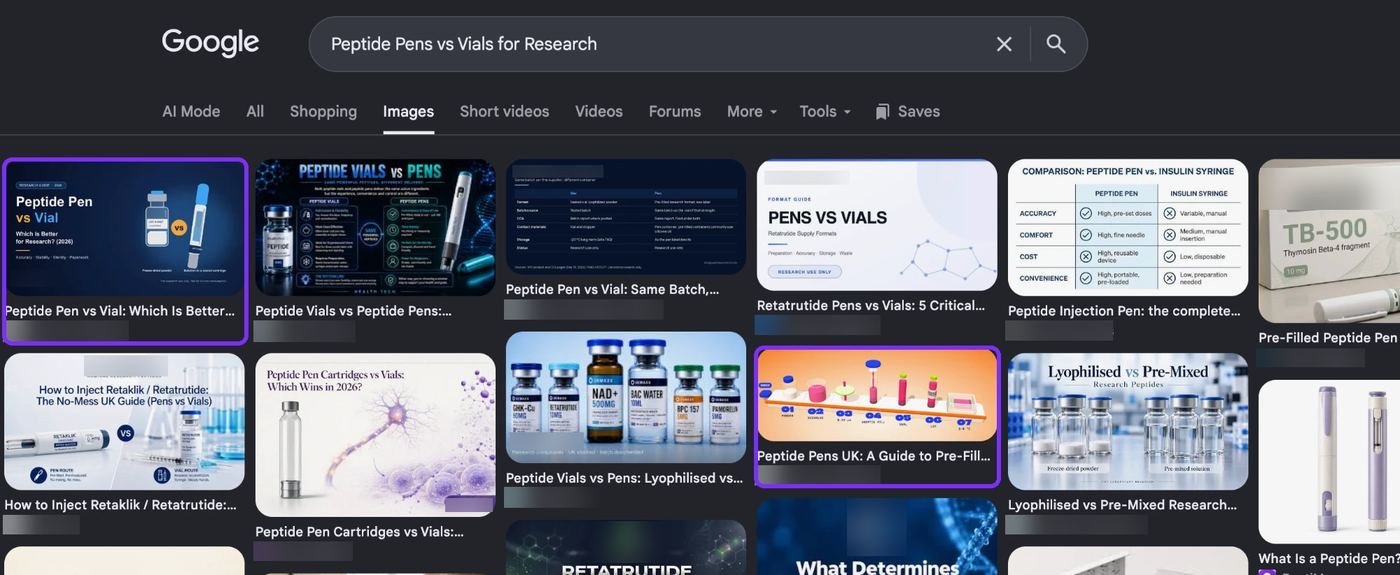 Two of the client's guides among the top image results, highlighted.